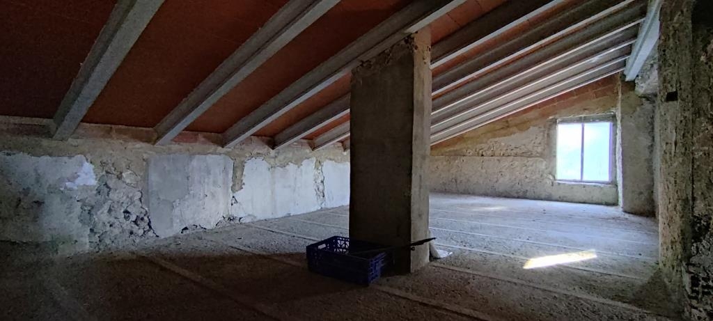 Vente - Finca - Millena