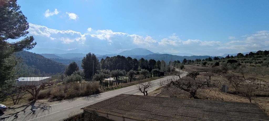 Vente - Finca - Millena