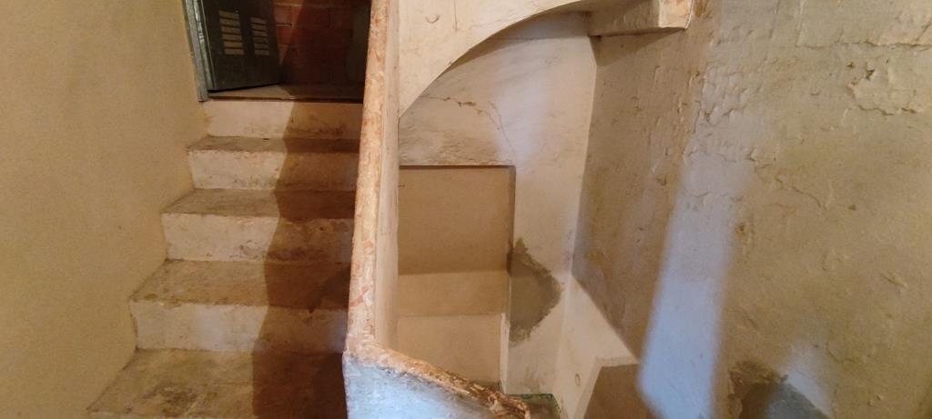 Vente - Finca - Millena