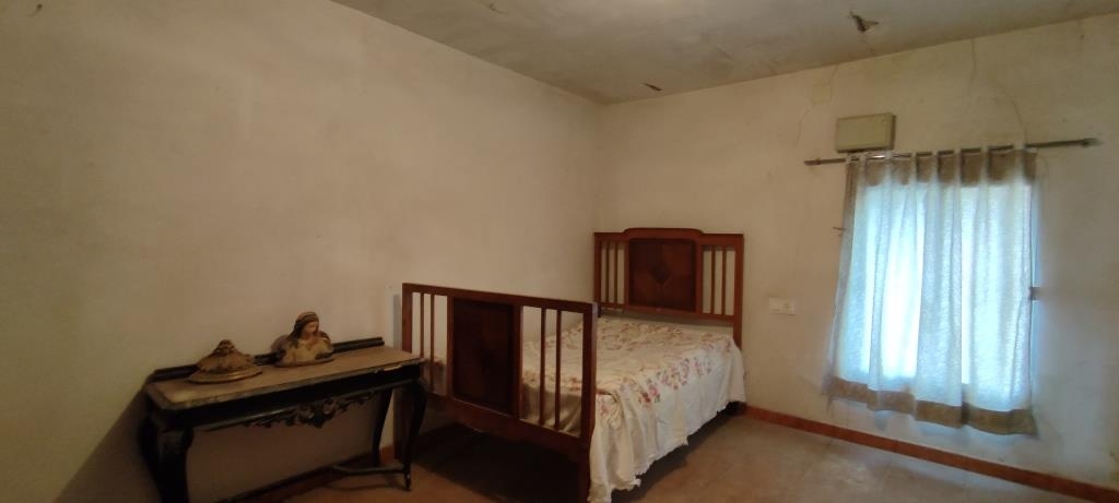 Vente - Finca - Millena