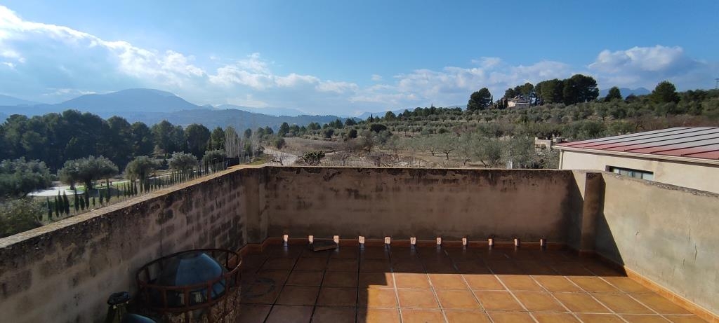 Vente - Finca - Millena