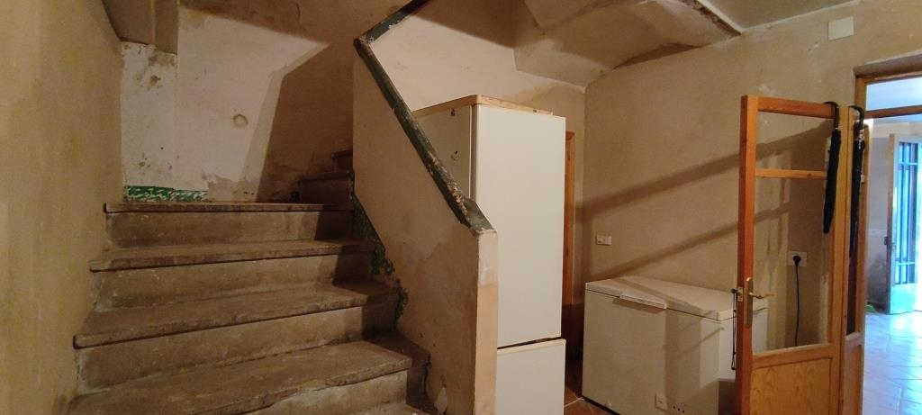 Vente - Finca - Millena