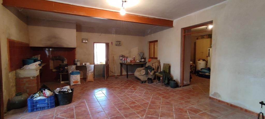 Vente - Finca - Millena