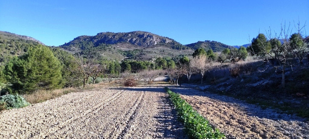 Na sprzedaż - Rustic land - Planes