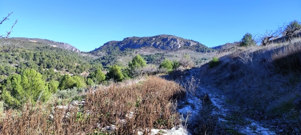 Na sprzedaż - Rustic land - Planes