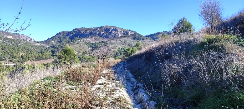 Na sprzedaż - Rustic land - Planes
