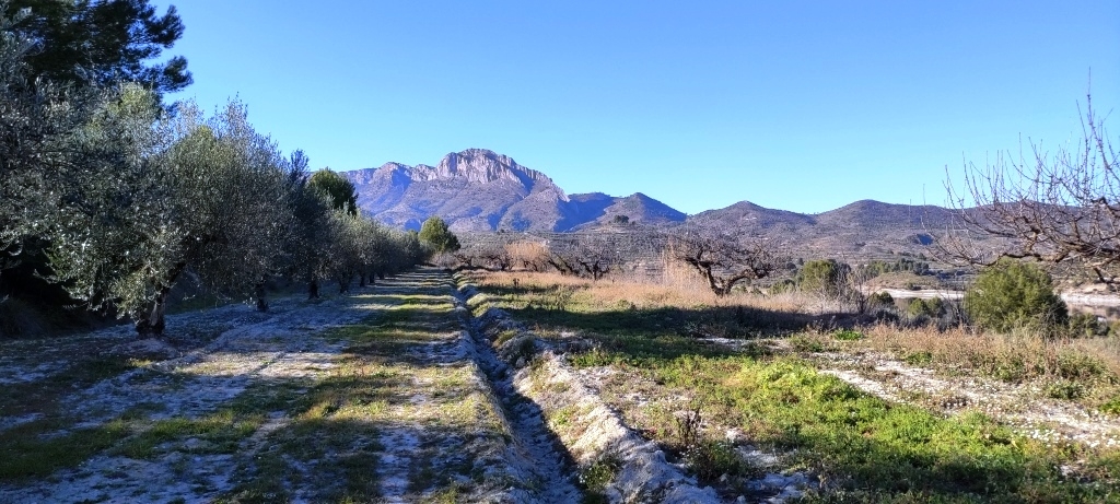 Na sprzedaż - Rustic land - Planes