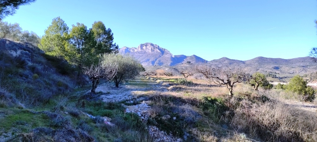 Na sprzedaż - Rustic land - Planes