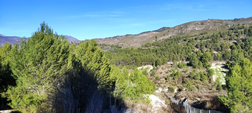 Na sprzedaż - Rustic land - Planes