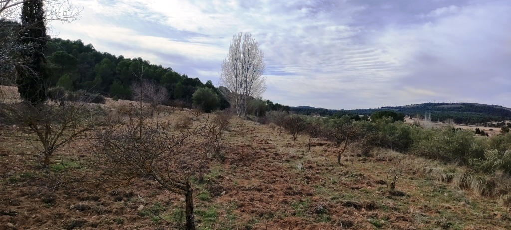  Sale - Finca - Bocairent