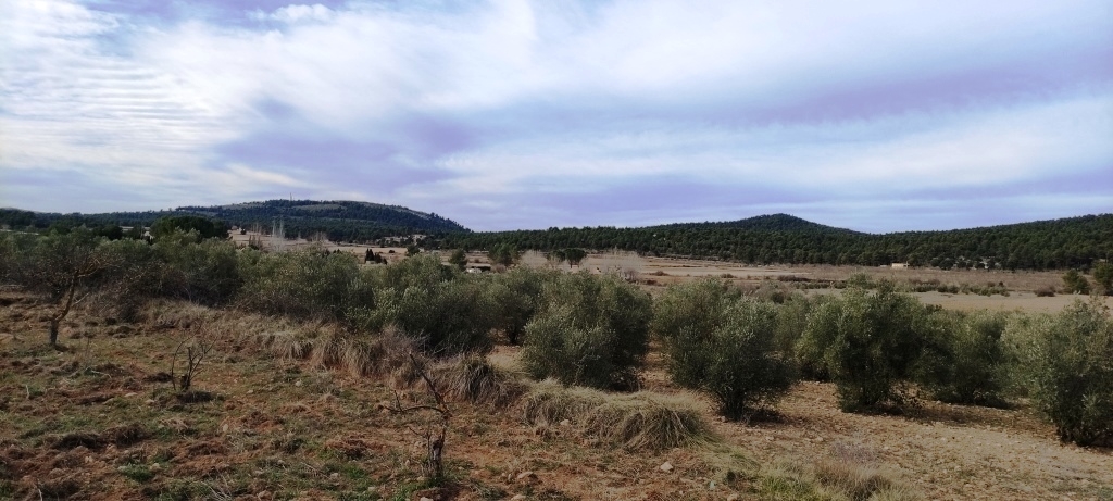  Sale - Finca - Bocairent