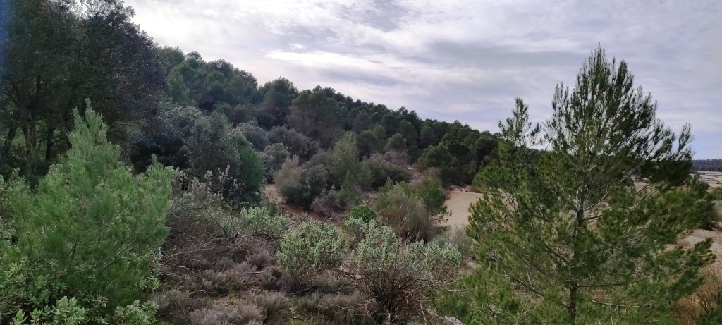  Sale - Finca - Bocairent