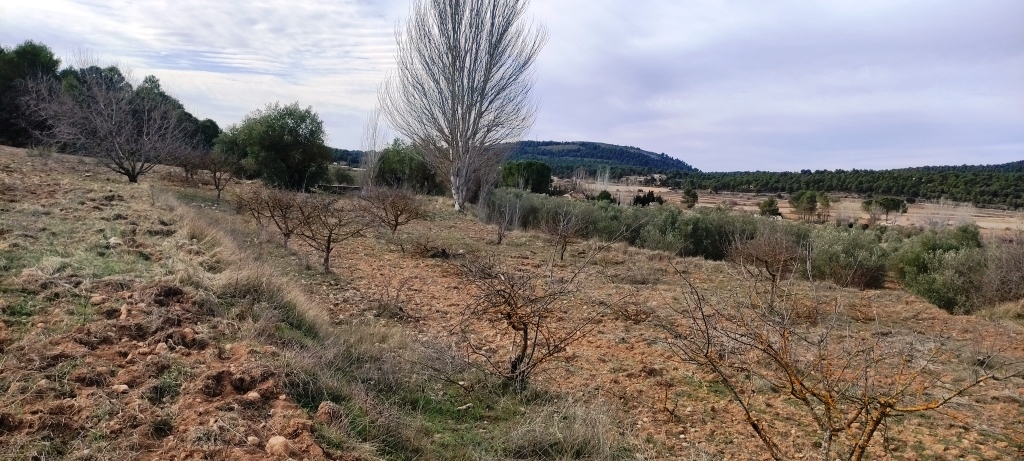  Sale - Finca - Bocairent