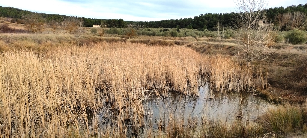  Sale - Finca - Bocairent