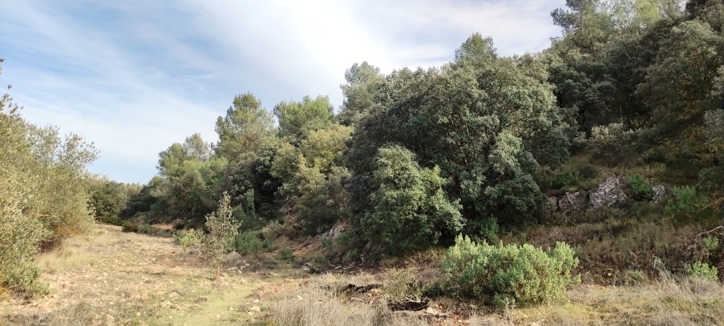  Sale - Finca - Bocairent