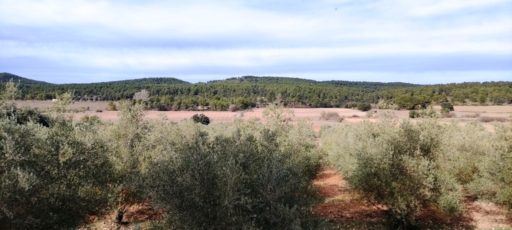  Sale - Finca - Bocairent