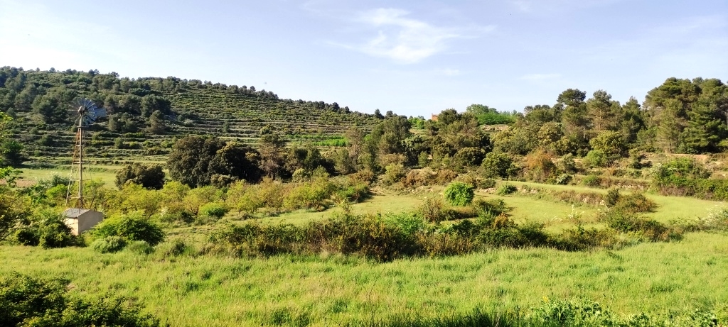 Verkauf - Finca - Penáguila