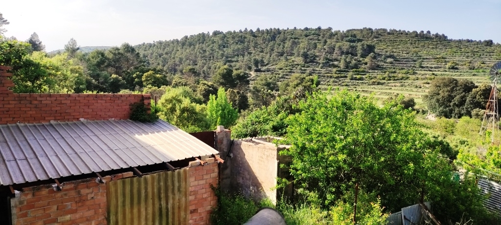 Verkauf - Finca - Penáguila