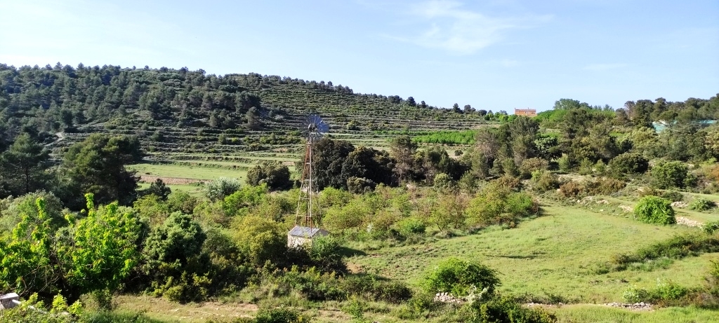 Verkauf - Finca - Penáguila