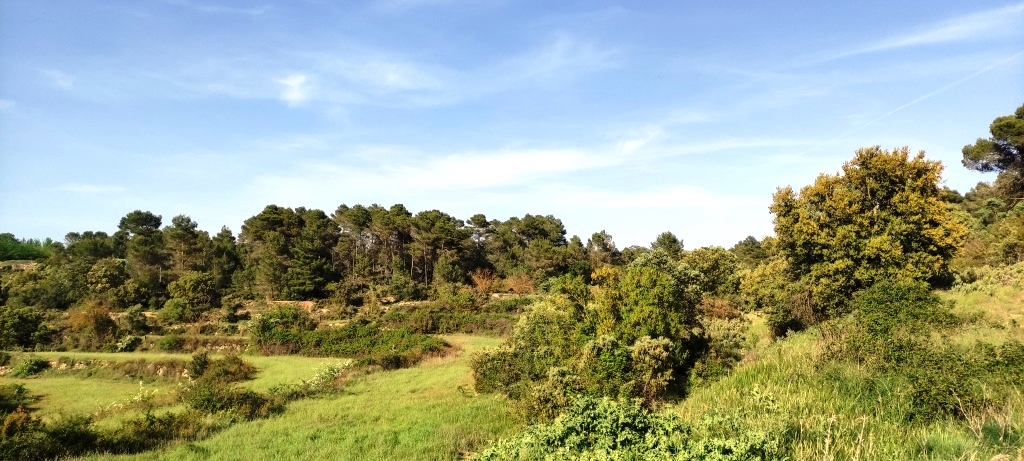 Verkauf - Finca - Penáguila