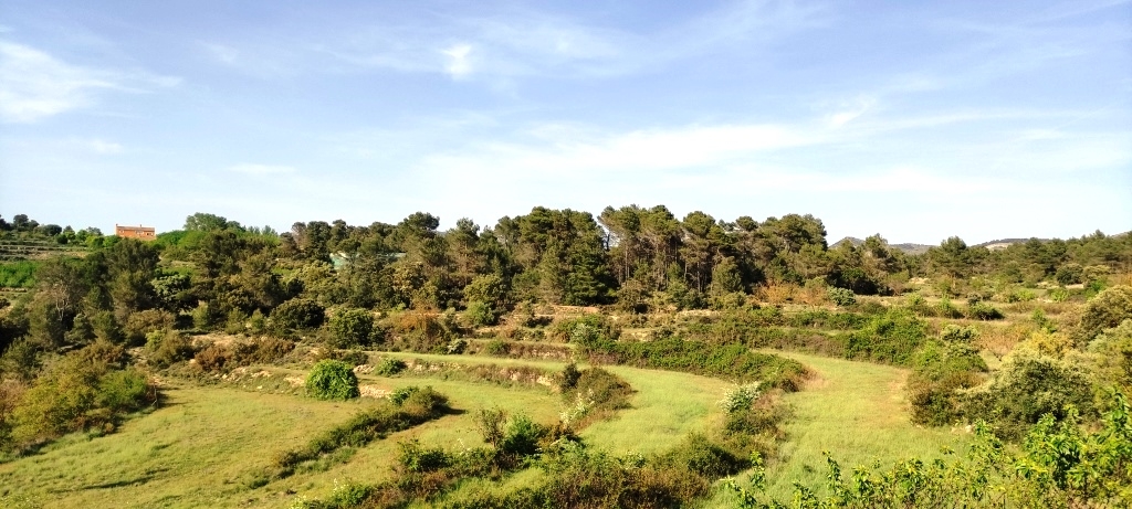 Verkauf - Finca - Penáguila