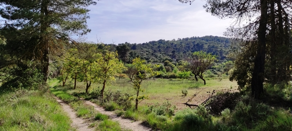 Verkauf - Finca - Penáguila