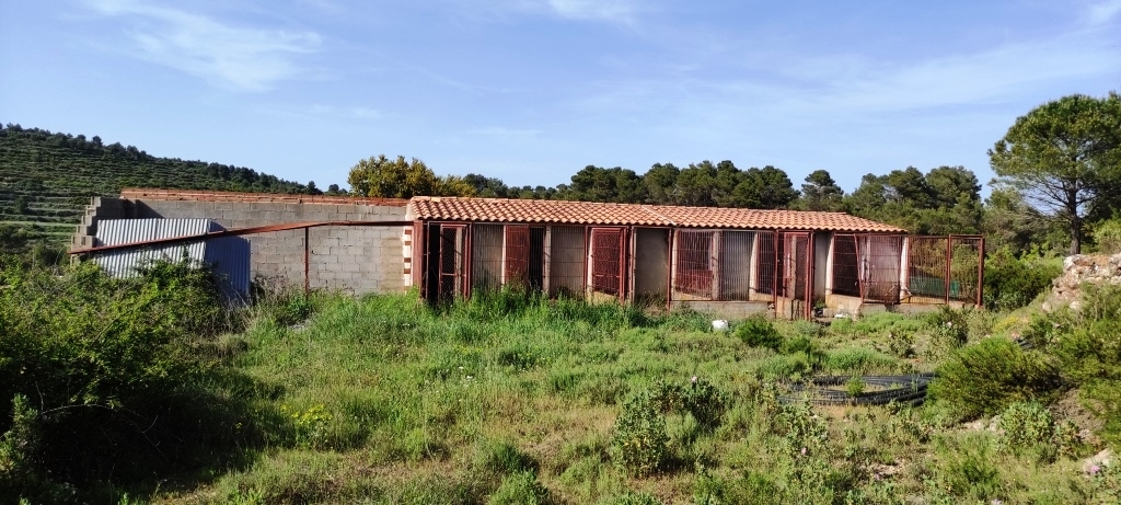 Verkauf - Finca - Penáguila