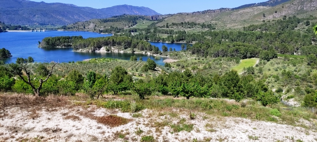 Na sprzedaż - Rustic land - Planes