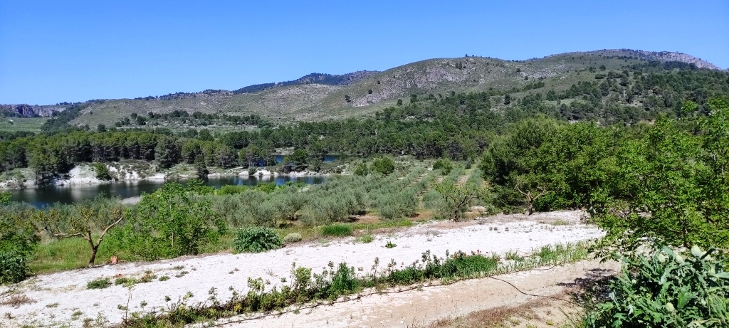 Na sprzedaż - Rustic land - Planes