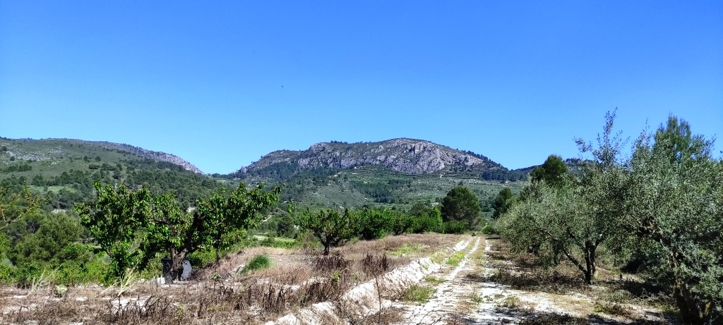 Na sprzedaż - Rustic land - Planes