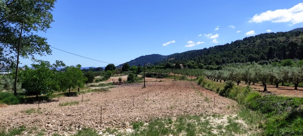 Te koop - Finca - Bocairent