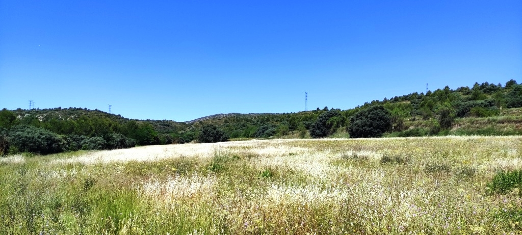 Vente - Finca - Boicarent