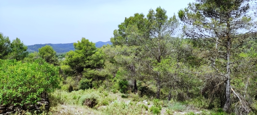 Videresalg - Finca - Alcoy