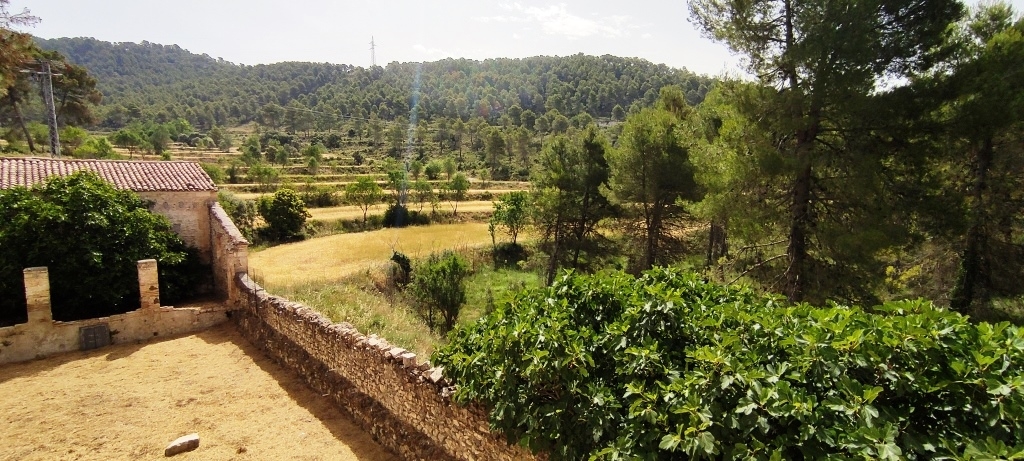 Videresalg - Finca - Alcoy