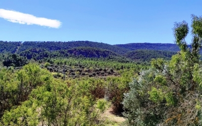 Finca -  Sale - Alcoy - Alcoy