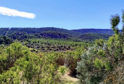 Finca - Te koop - Alcoy - Alcoy