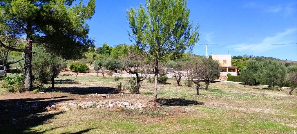  Sale - Country House - Ontinyent