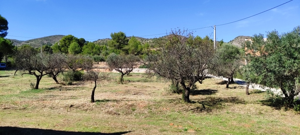  Sale - Country House - Ontinyent