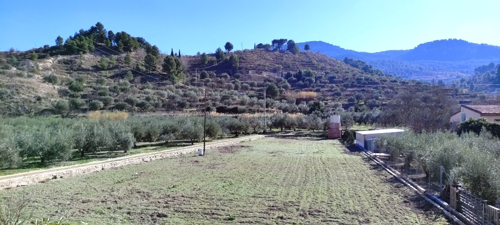 Te koop - Finca - Alcoy