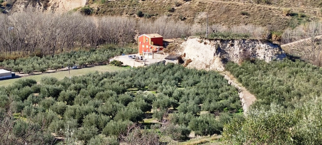 Te koop - Finca - Alcoy