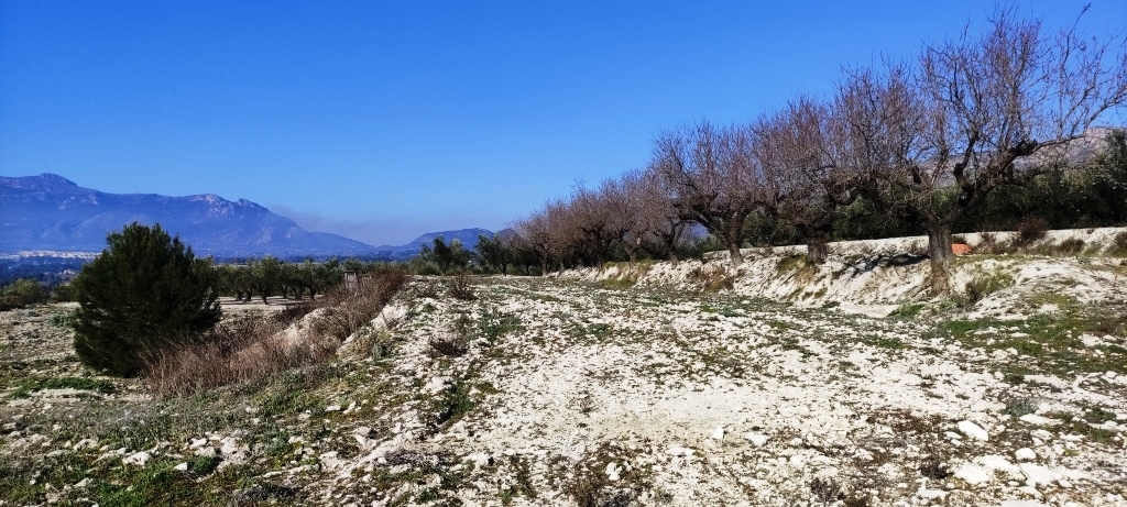 Na sprzedaż - Rustic land - Planes