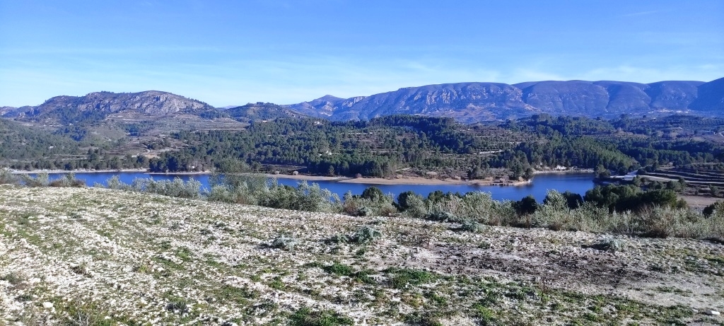 Na sprzedaż - Rustic land - Planes