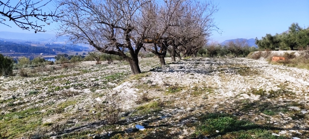 Na sprzedaż - Rustic land - Planes