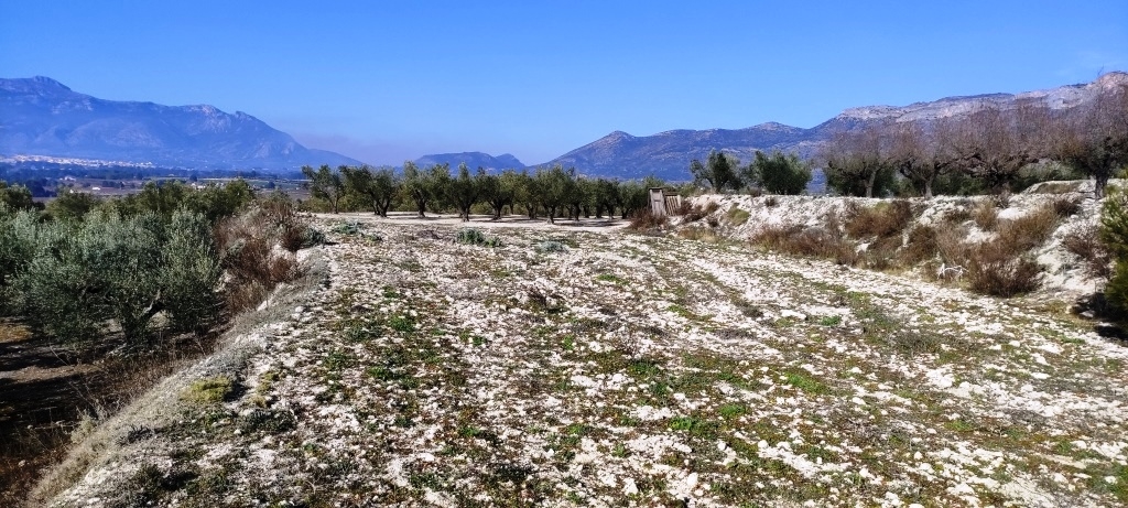 Na sprzedaż - Rustic land - Planes