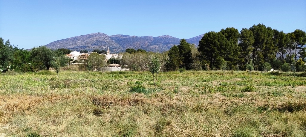  Sale - Finca - Muro de Alcoy