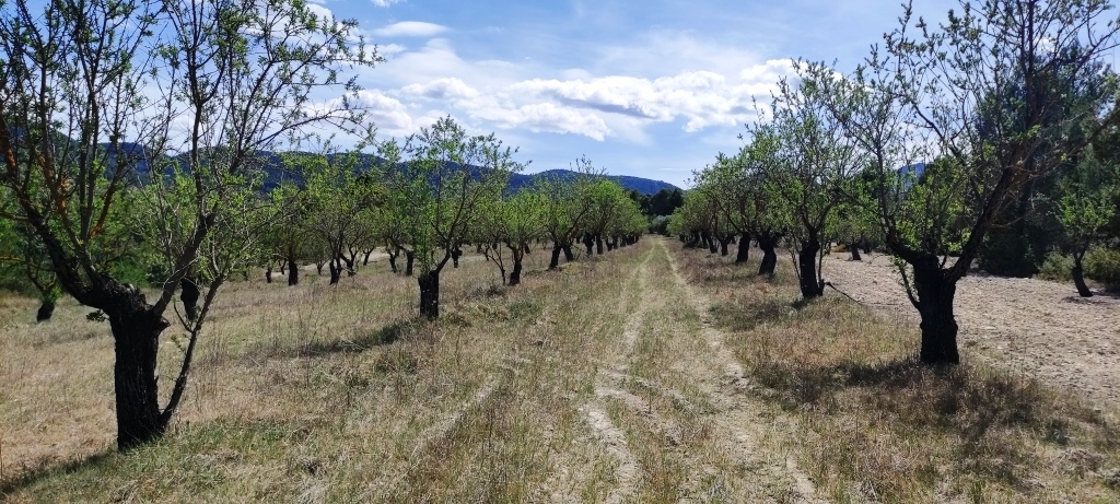 Na sprzedaż - Rustic land - Penáguila