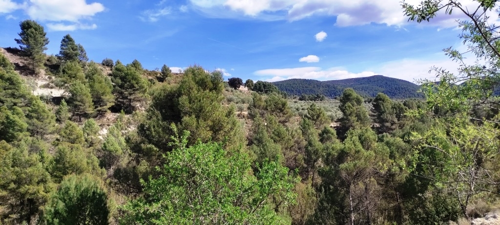 Na sprzedaż - Rustic land - Penáguila