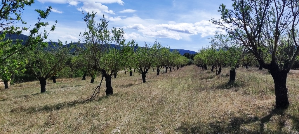 Na sprzedaż - Rustic land - Penáguila