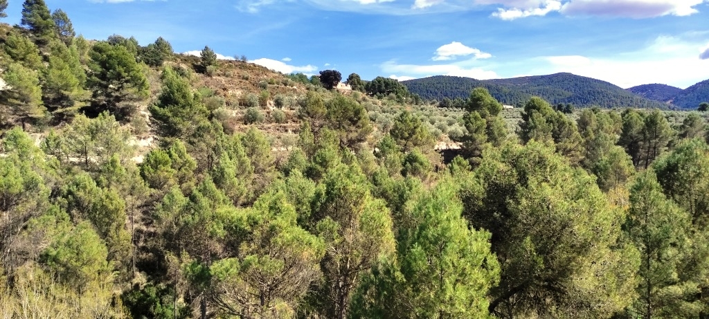 Na sprzedaż - Rustic land - Penáguila