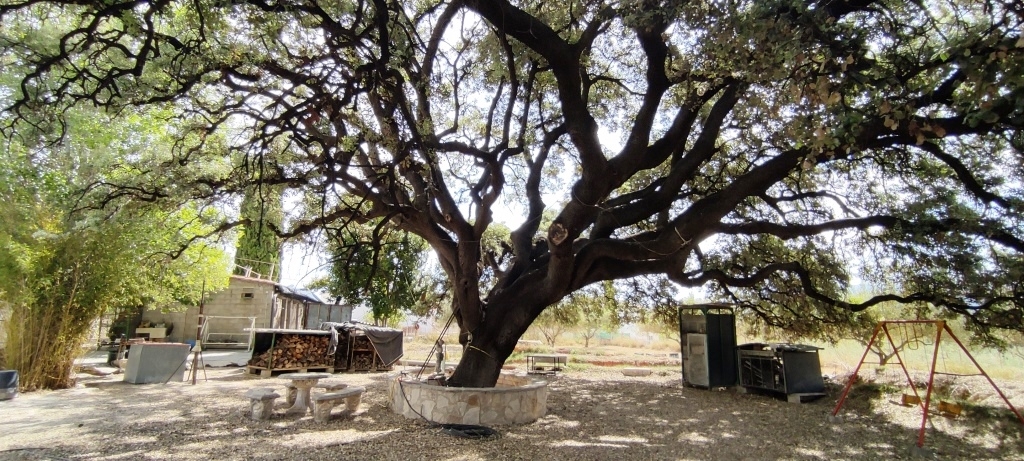 Na sprzedaż - Country House - Ontinyent